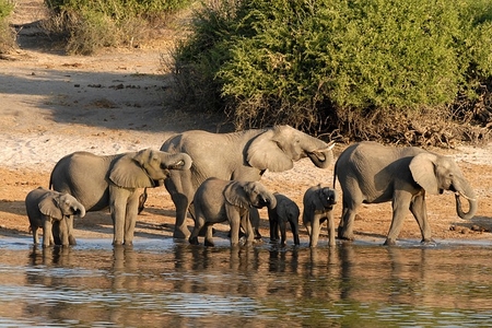 Botswana.jpg