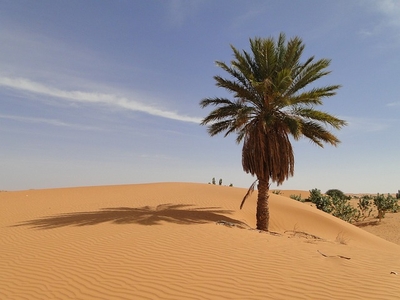 Mauritania.jpg