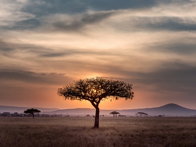 Tanzania.jpg