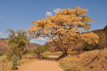 Zimbabve.jpg
